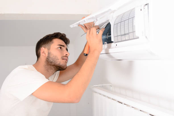 Best Air Duct Sanitizing Services  in Dora, AL